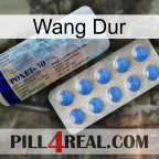 Hard Wang 39